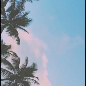 Meet your Posher, Desairee lei